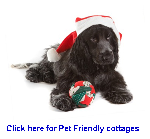 Pet friendly Christmas cottages